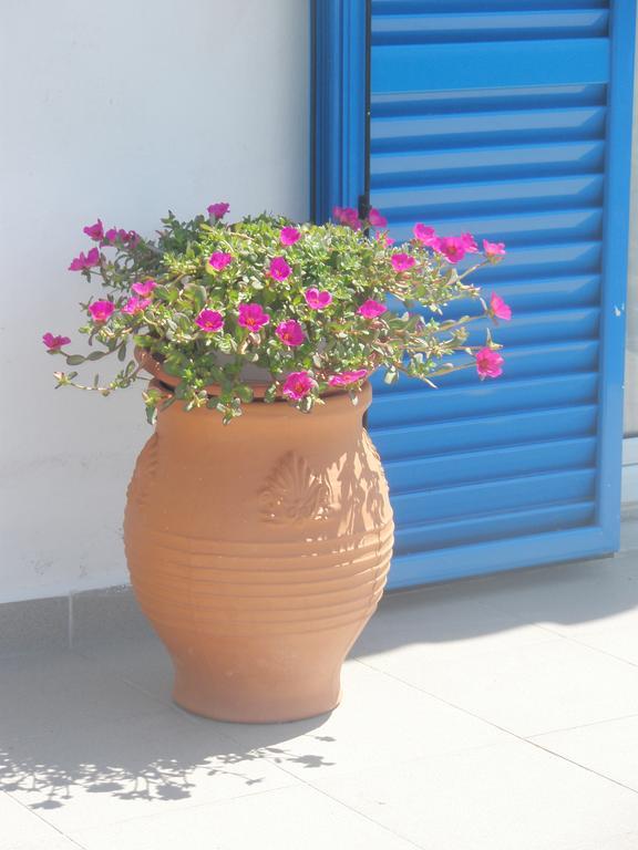 Enalion Apartments Agios Ioannis Kaspaka エクステリア 写真